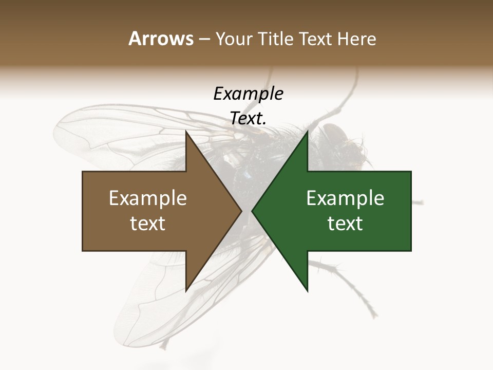 Creepy Animal Background PowerPoint Template