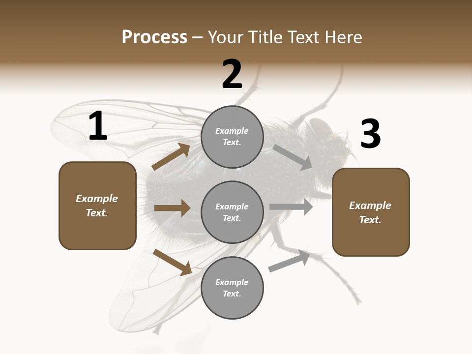 Creepy Animal Background PowerPoint Template