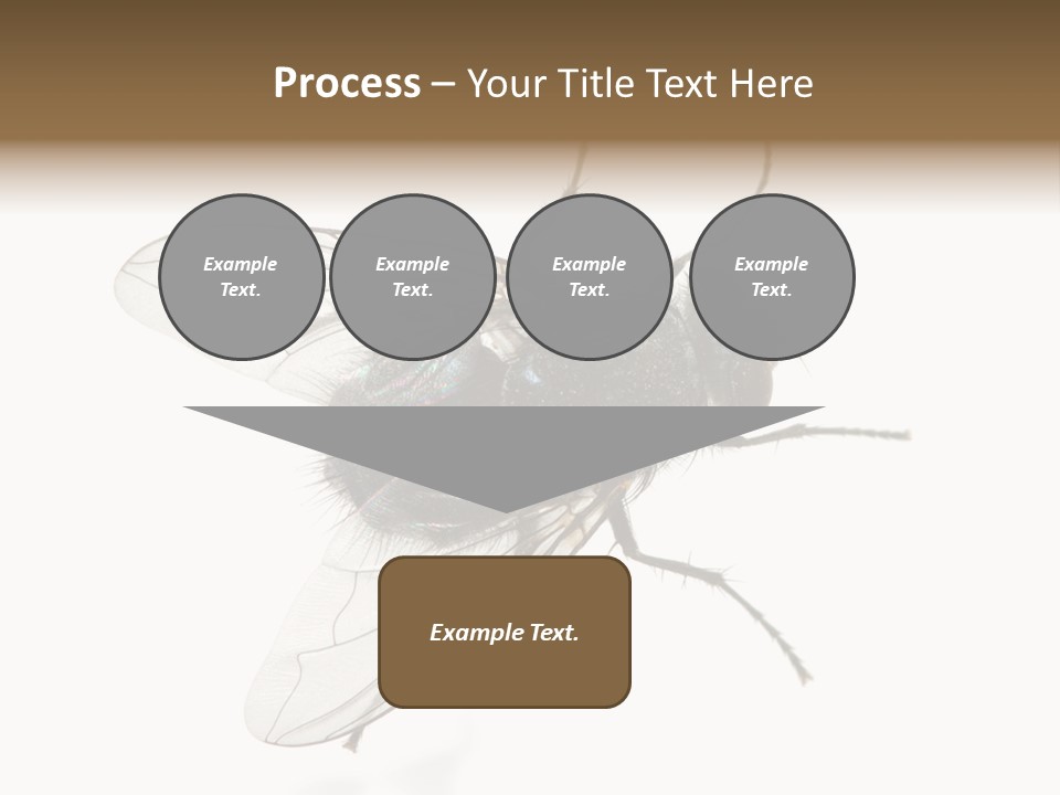 Creepy Animal Background PowerPoint Template