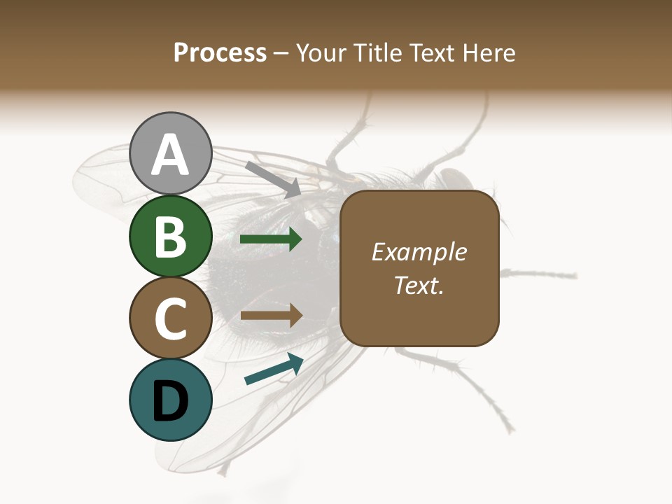 Creepy Animal Background PowerPoint Template