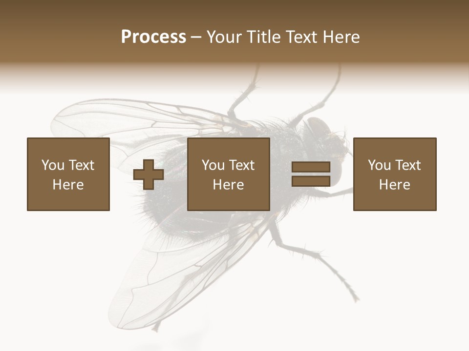 Creepy Animal Background PowerPoint Template