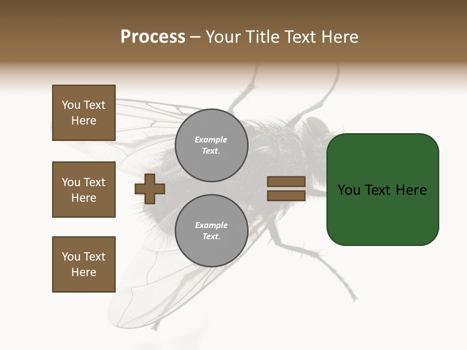 Creepy Animal Background PowerPoint Template