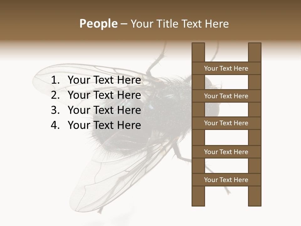 Creepy Animal Background PowerPoint Template