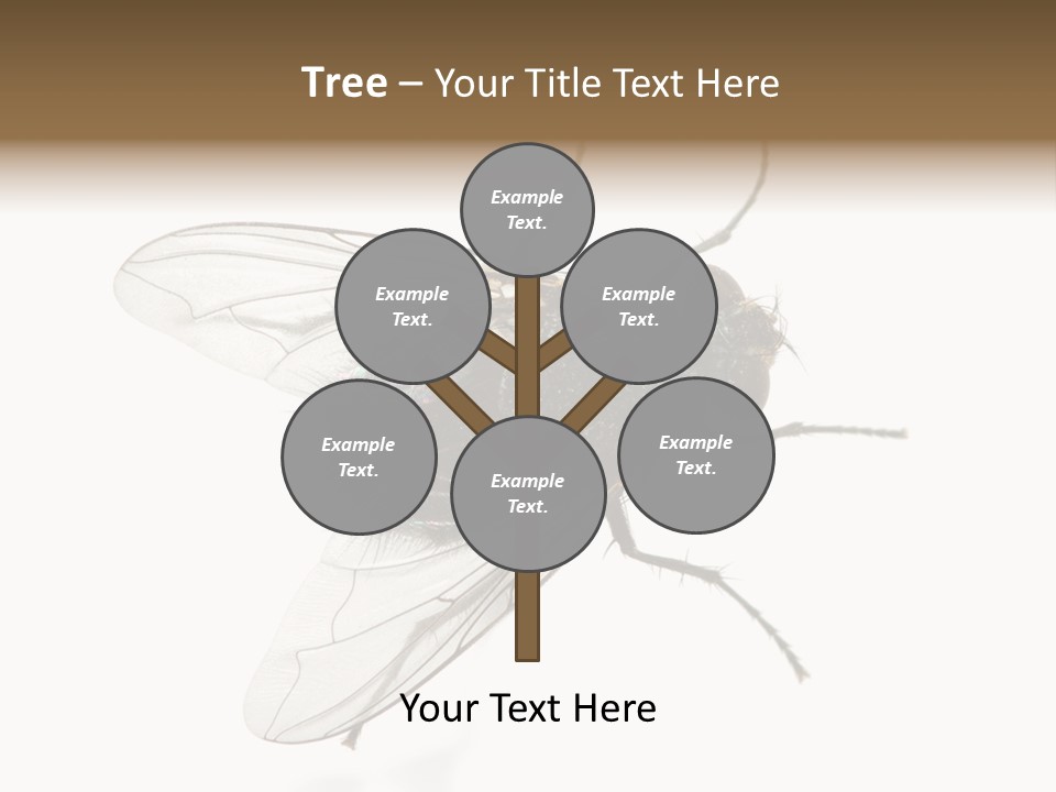 Creepy Animal Background PowerPoint Template