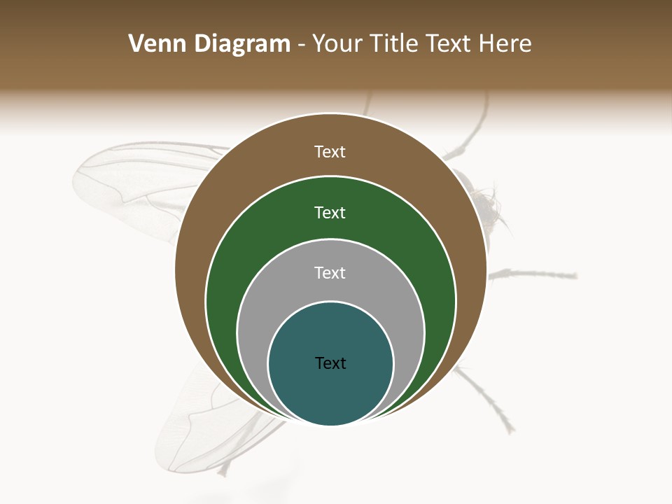 Creepy Animal Background PowerPoint Template