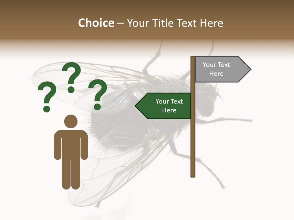 Creepy Animal Background PowerPoint Template