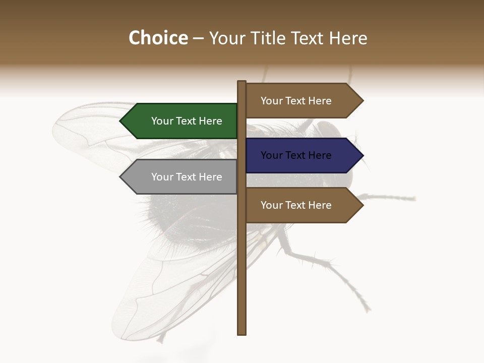 Creepy Animal Background PowerPoint Template