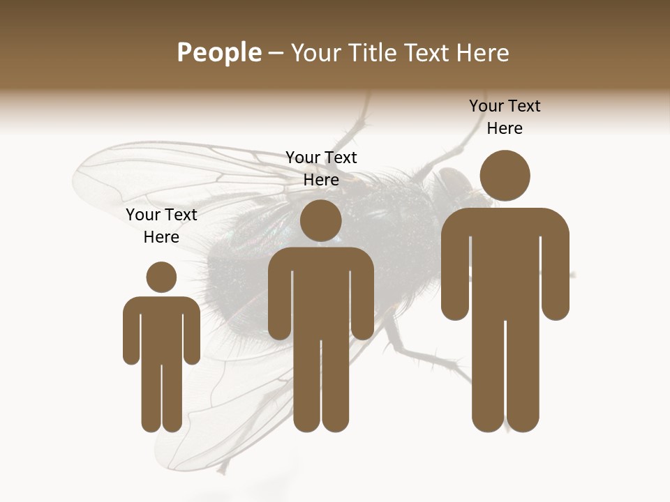 Creepy Animal Background PowerPoint Template