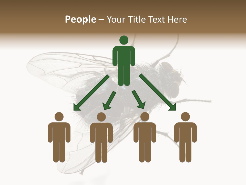 Creepy Animal Background PowerPoint Template