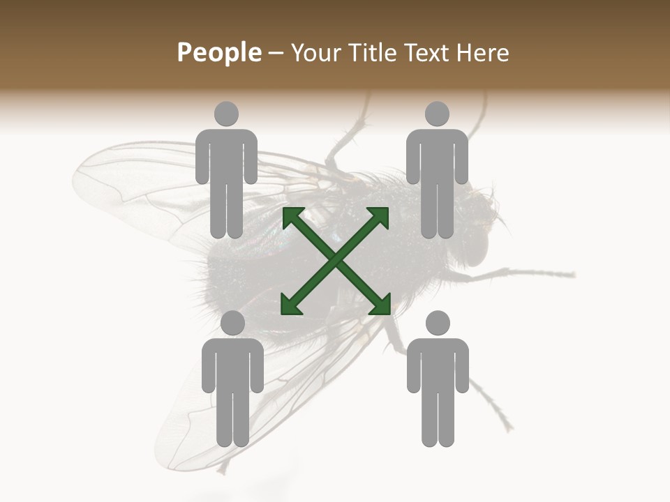 Creepy Animal Background PowerPoint Template