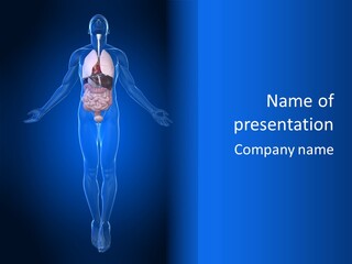 Male Biology Medical PowerPoint Template