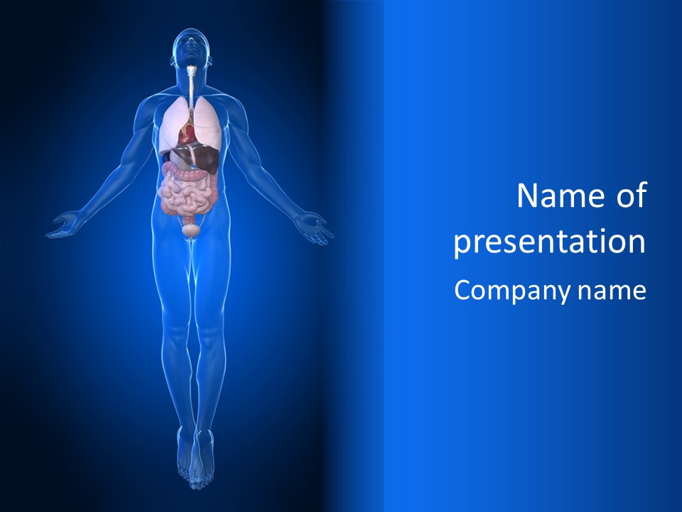 Male Biology Medical PowerPoint Template