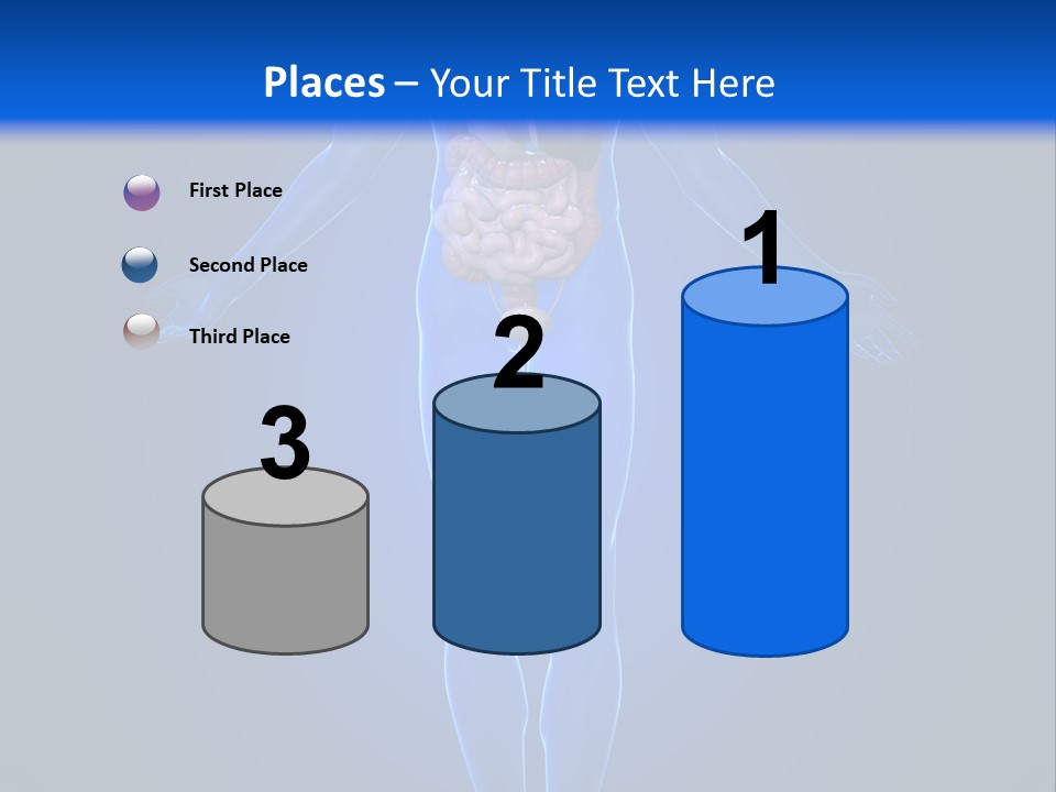 Male Biology Medical PowerPoint Template