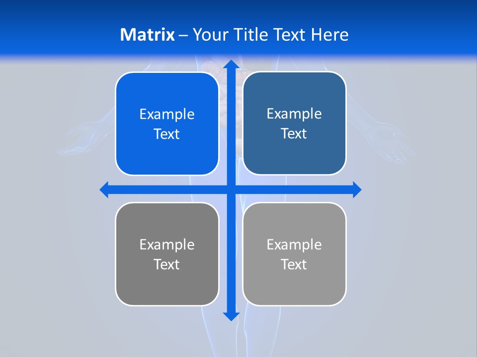 Male Biology Medical PowerPoint Template