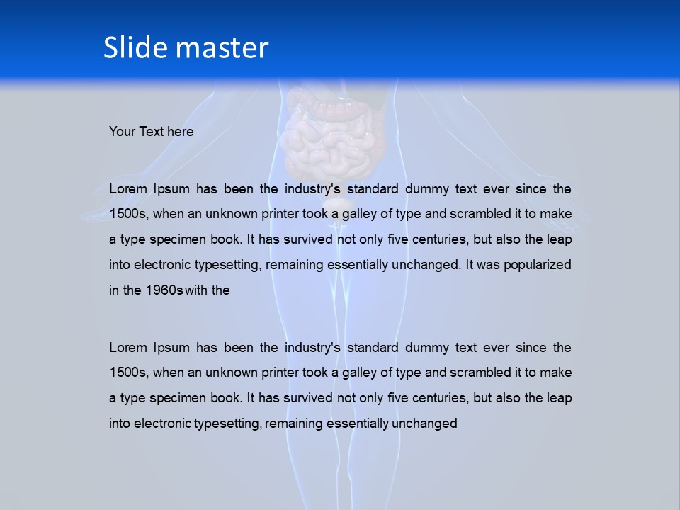 Male Biology Medical PowerPoint Template