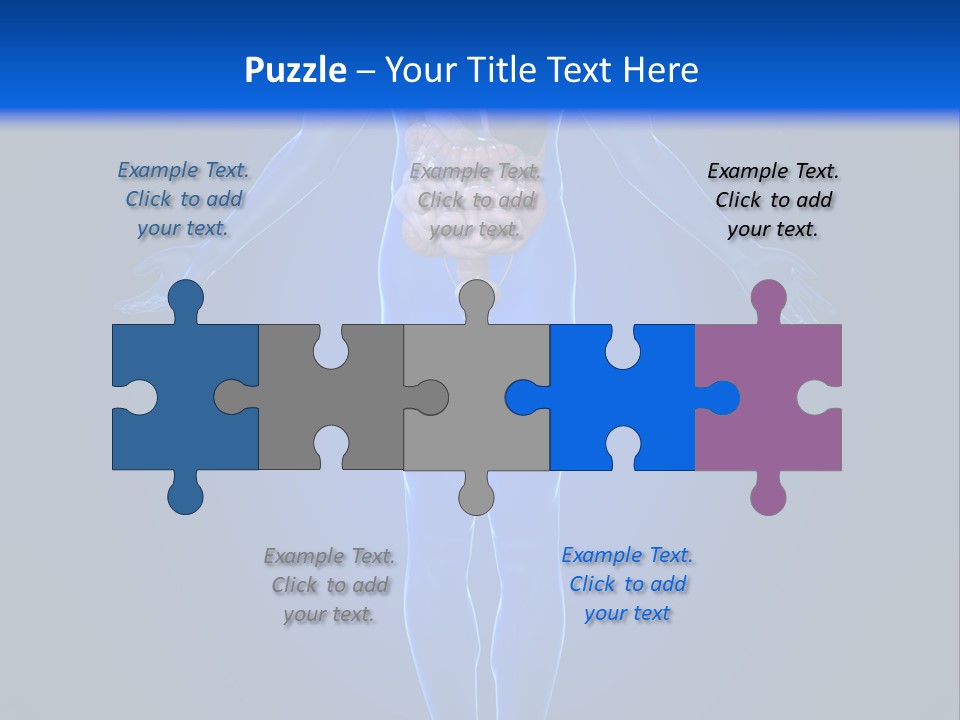 Male Biology Medical PowerPoint Template