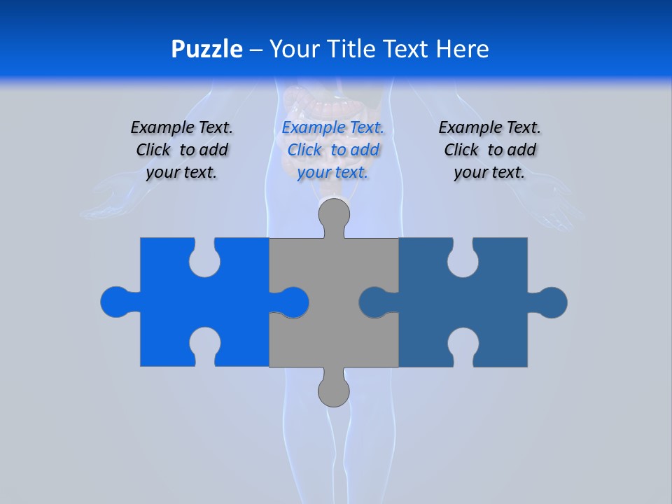 Male Biology Medical PowerPoint Template