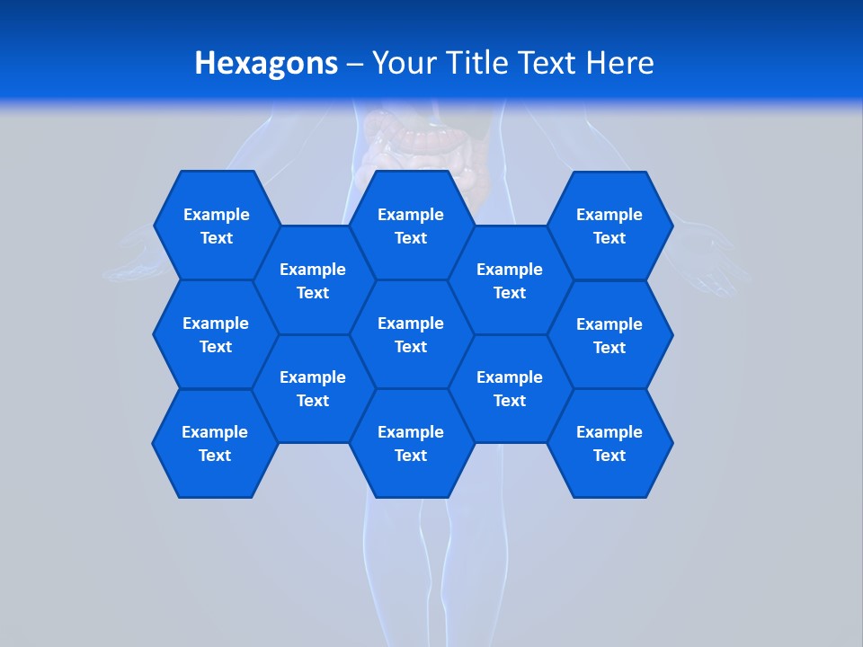 Male Biology Medical PowerPoint Template
