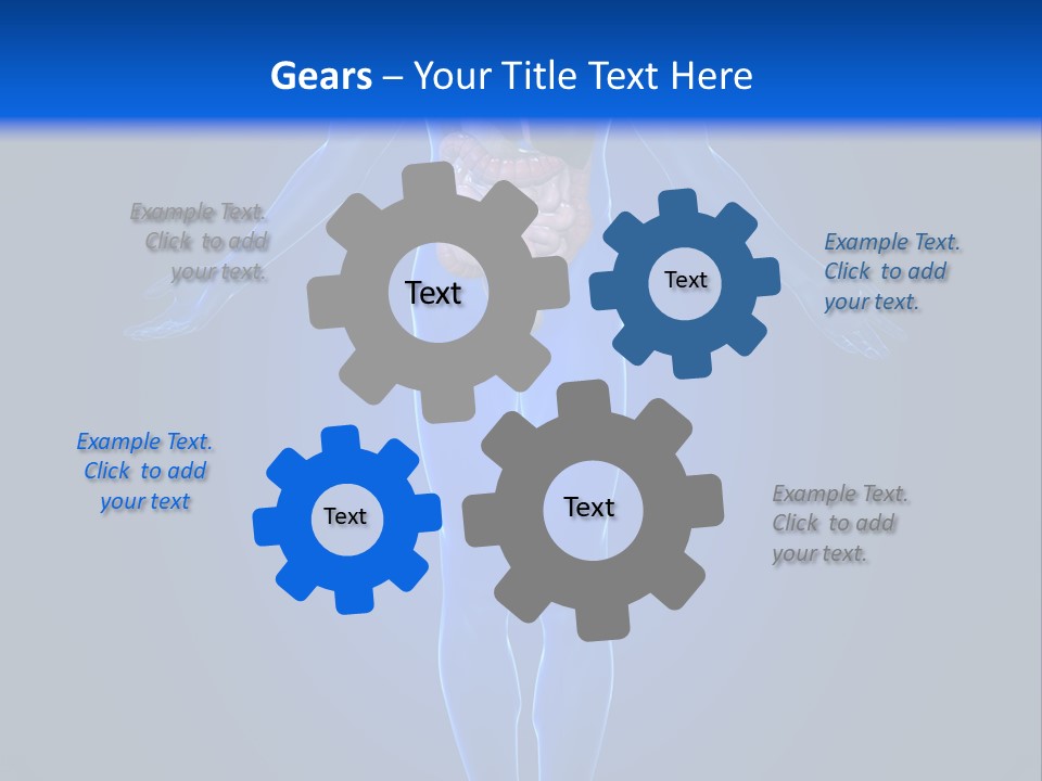 Male Biology Medical PowerPoint Template