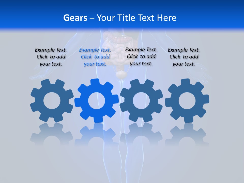 Male Biology Medical PowerPoint Template