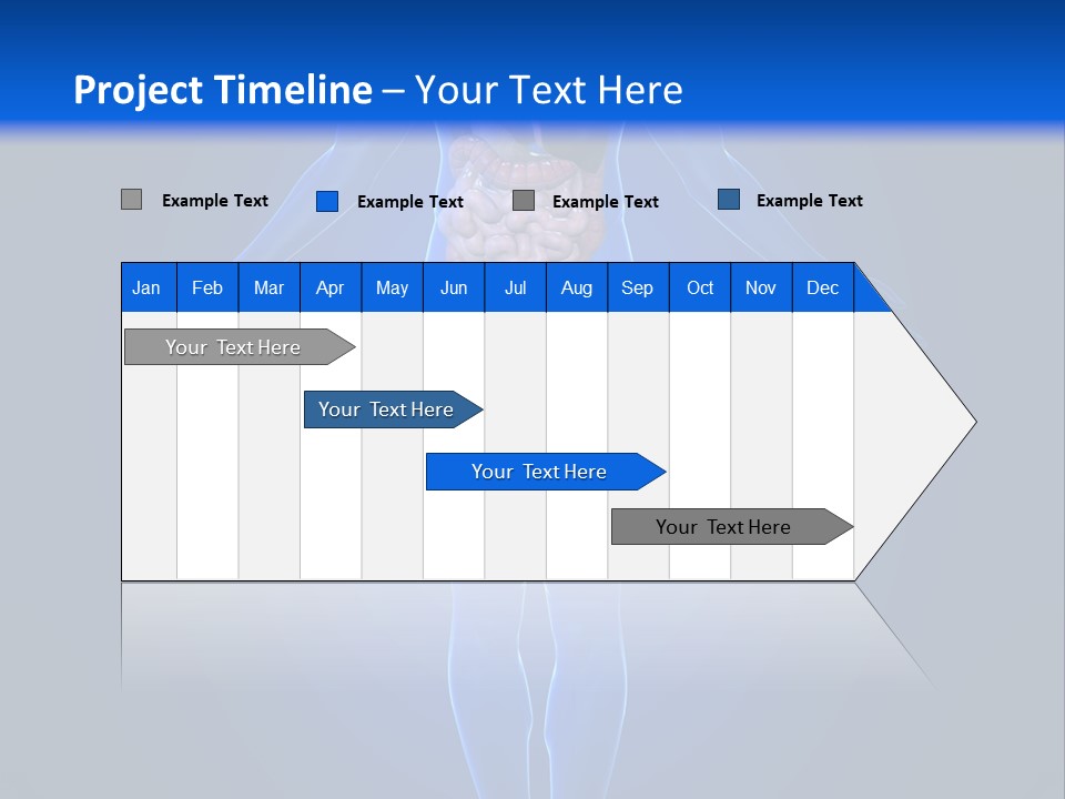 Male Biology Medical PowerPoint Template