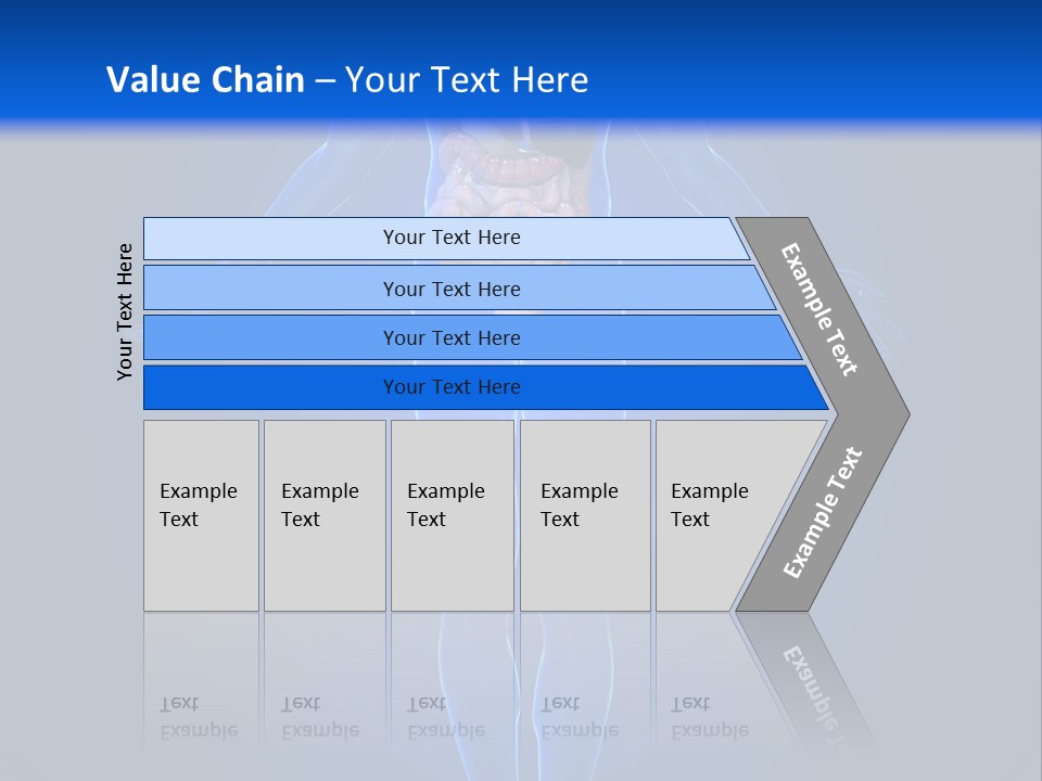 Male Biology Medical PowerPoint Template
