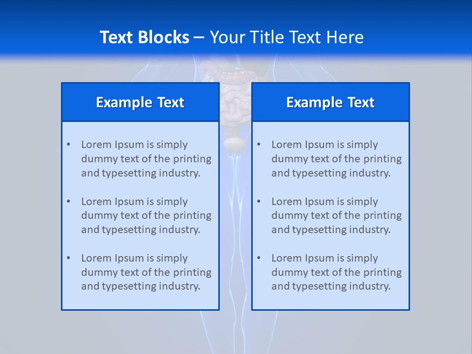 Male Biology Medical PowerPoint Template