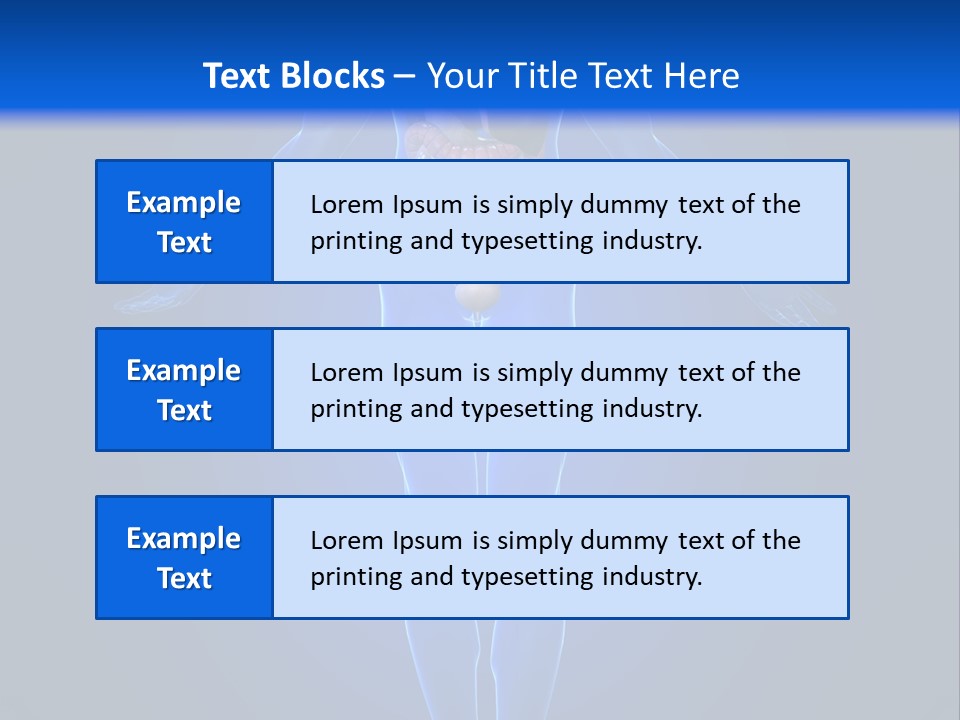 Male Biology Medical PowerPoint Template
