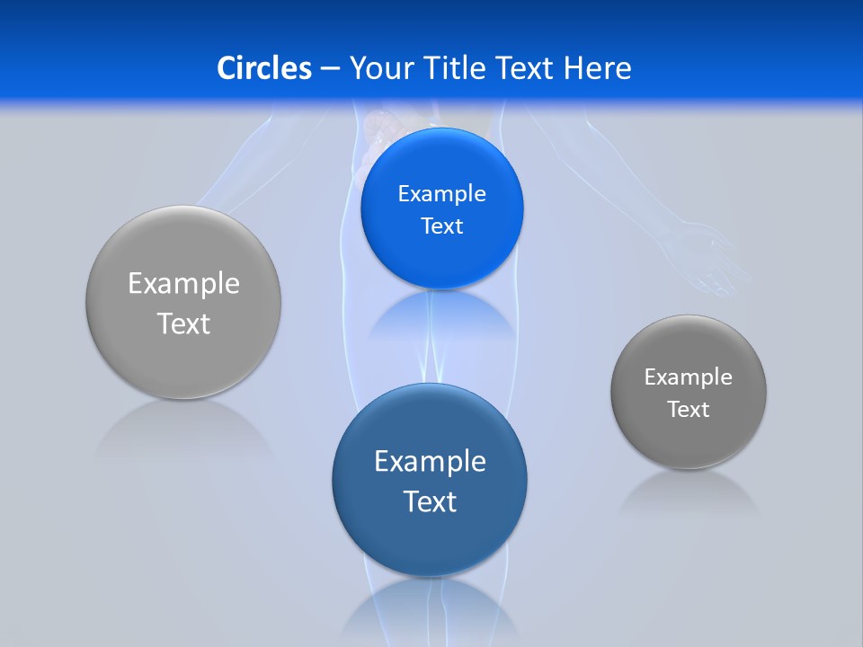 Male Biology Medical PowerPoint Template