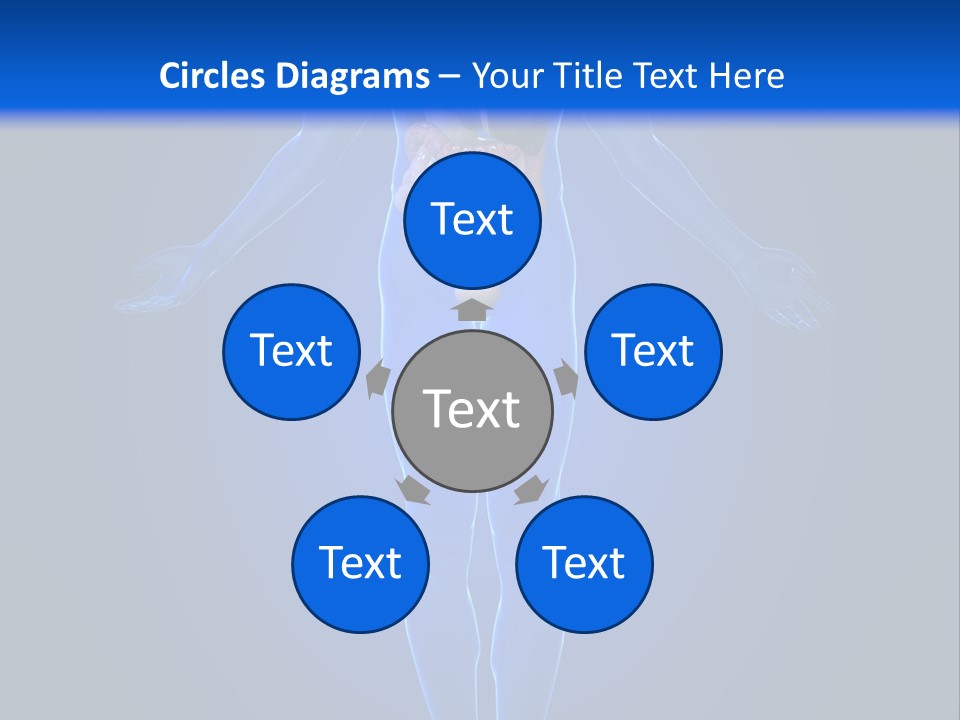 Male Biology Medical PowerPoint Template