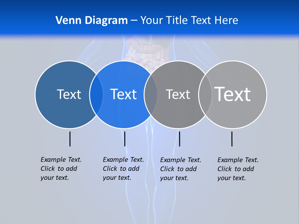 Male Biology Medical PowerPoint Template