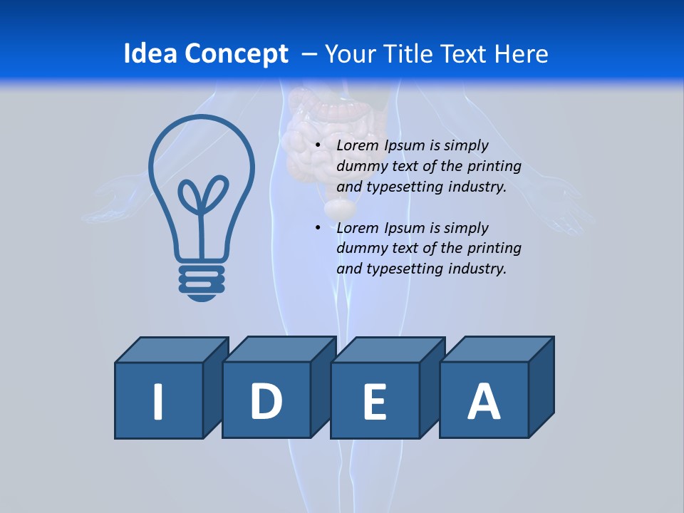 Male Biology Medical PowerPoint Template