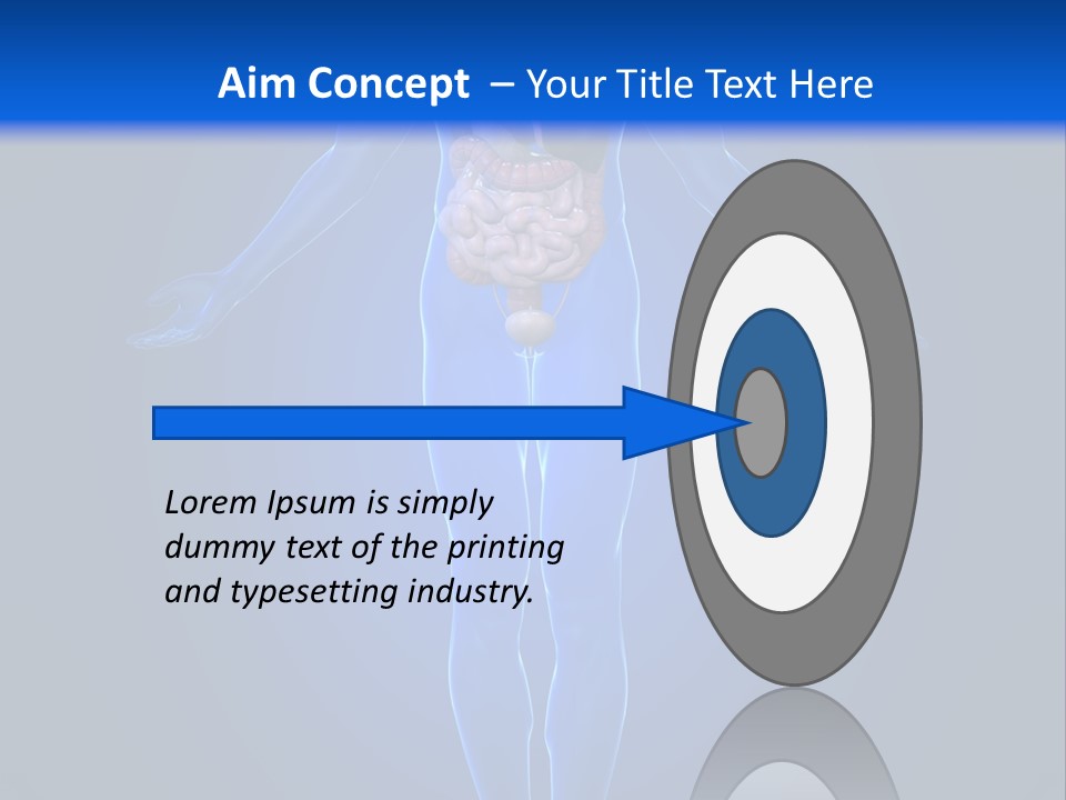 Male Biology Medical PowerPoint Template