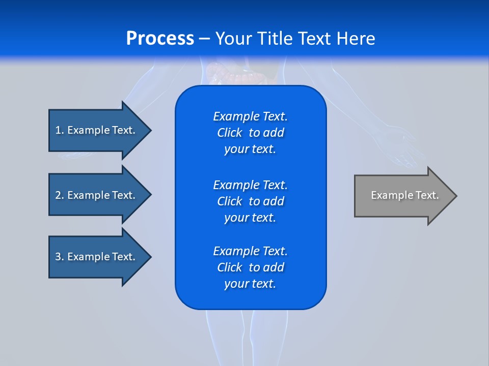 Male Biology Medical PowerPoint Template