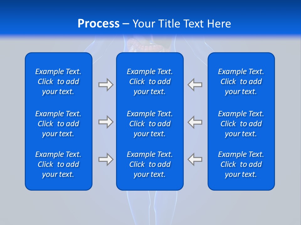 Male Biology Medical PowerPoint Template
