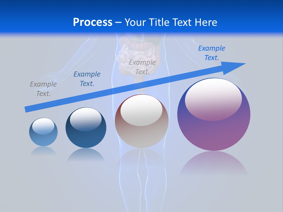 Male Biology Medical PowerPoint Template