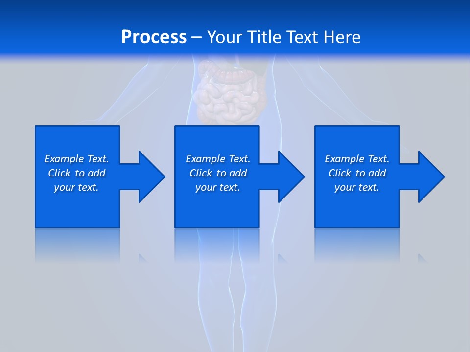 Male Biology Medical PowerPoint Template