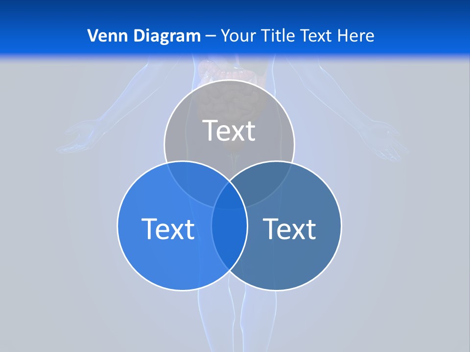 Male Biology Medical PowerPoint Template