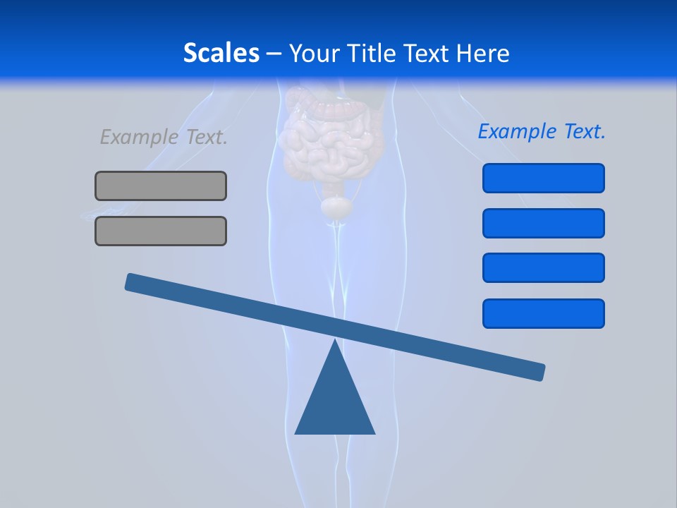 Male Biology Medical PowerPoint Template