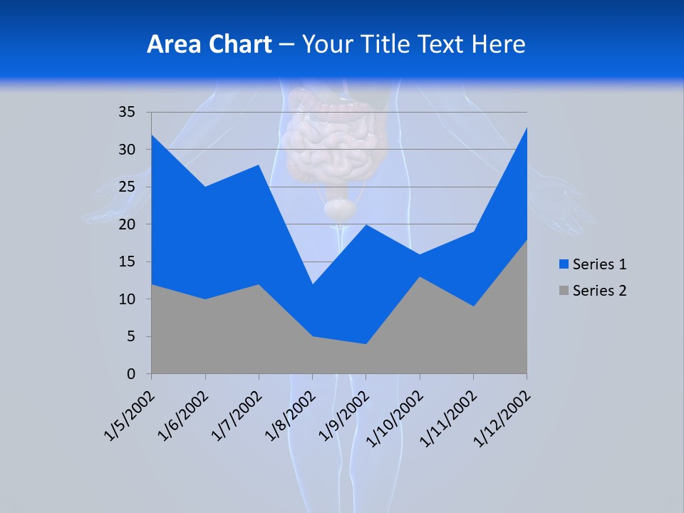 Male Biology Medical PowerPoint Template