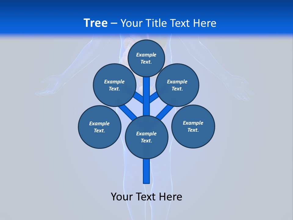 Male Biology Medical PowerPoint Template