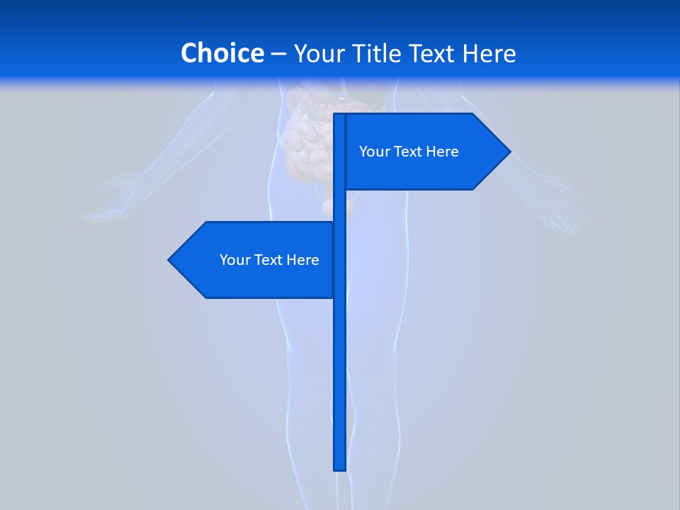 Male Biology Medical PowerPoint Template