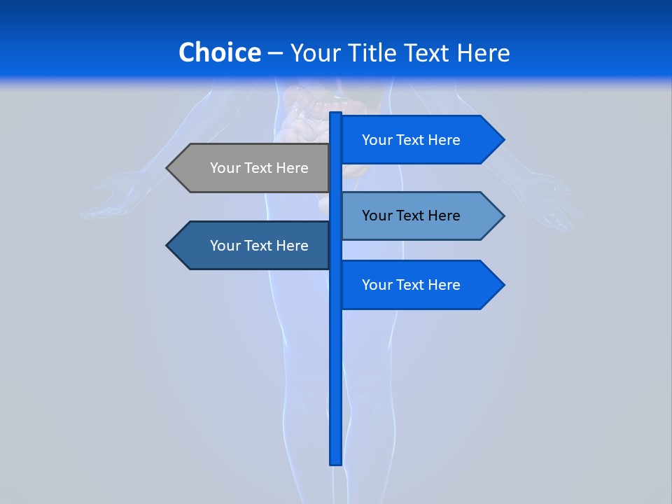 Male Biology Medical PowerPoint Template