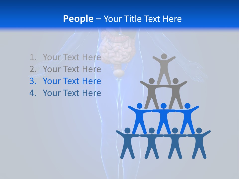 Male Biology Medical PowerPoint Template
