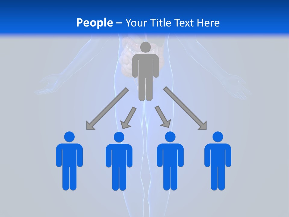 Male Biology Medical PowerPoint Template