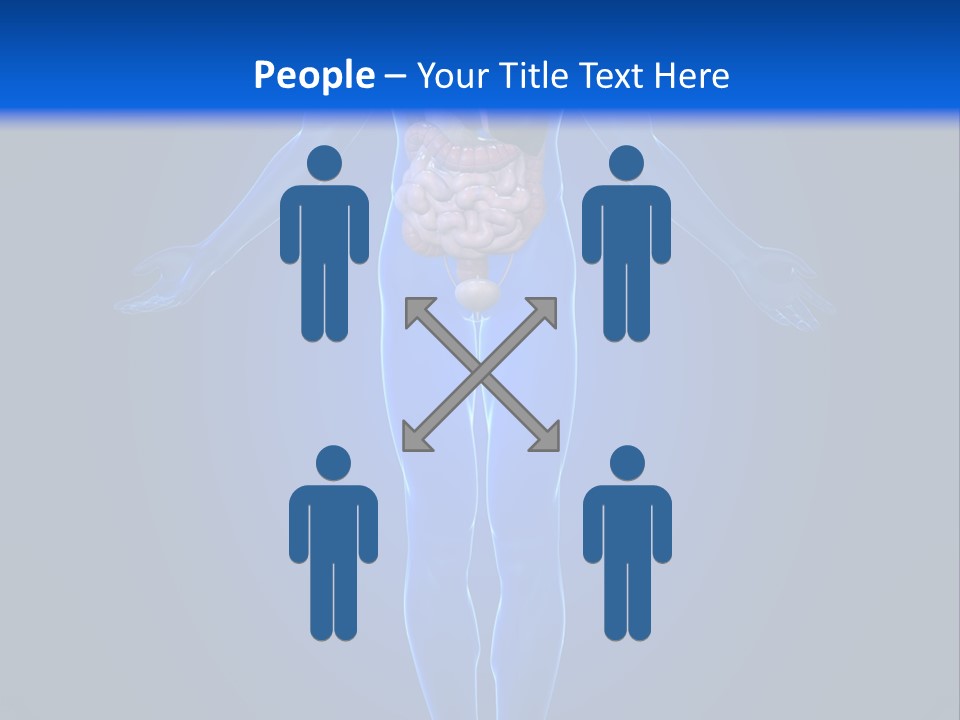 Male Biology Medical PowerPoint Template