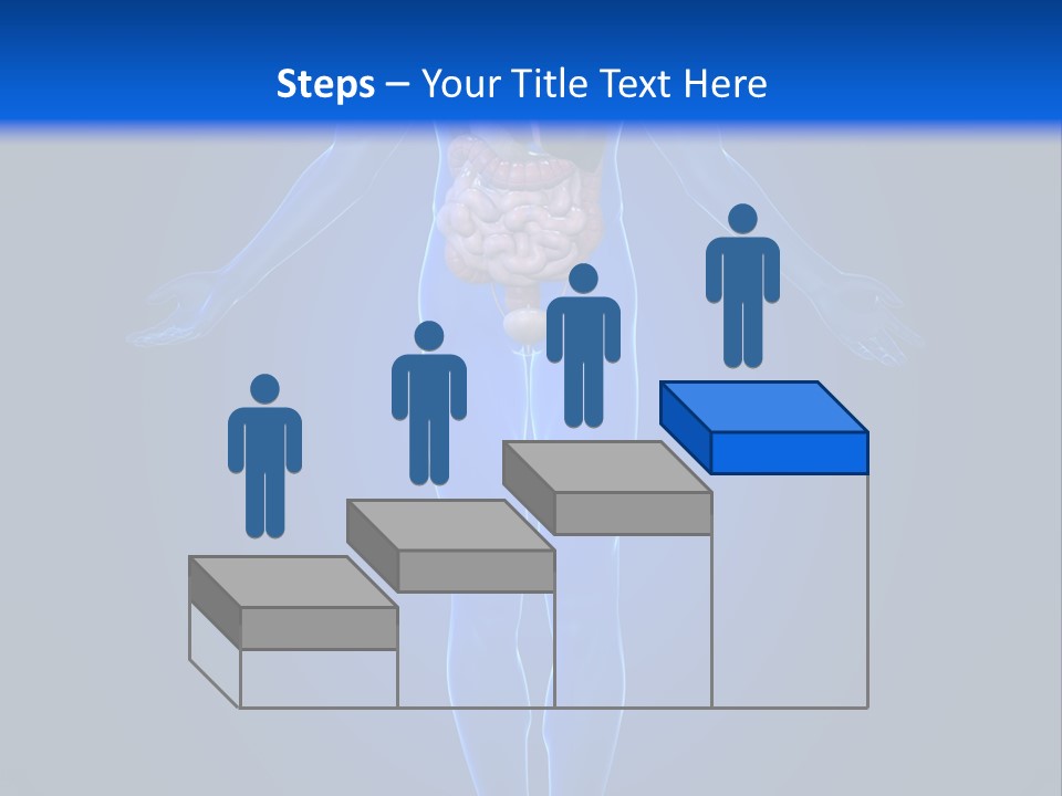 Male Biology Medical PowerPoint Template