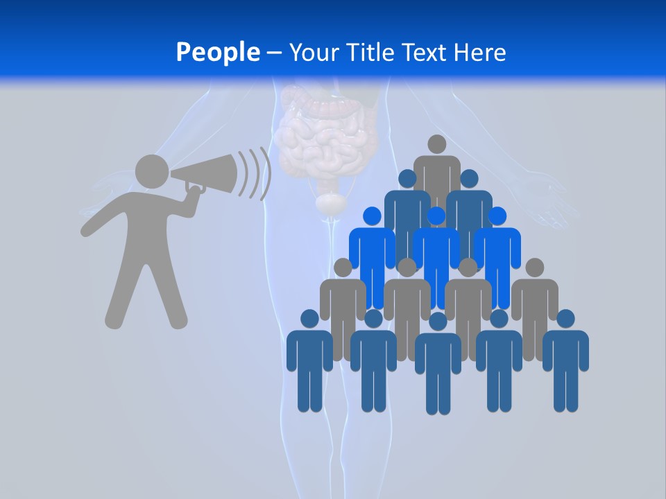Male Biology Medical PowerPoint Template