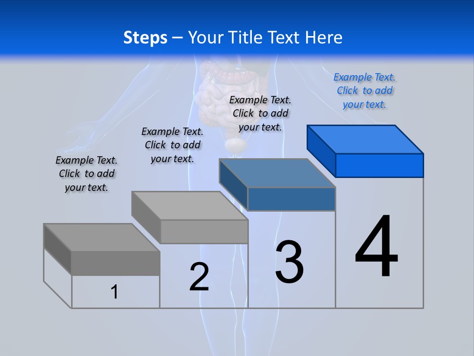 Male Biology Medical PowerPoint Template