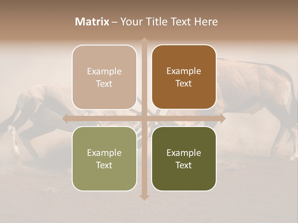 Gazella Antelope Movement PowerPoint Template